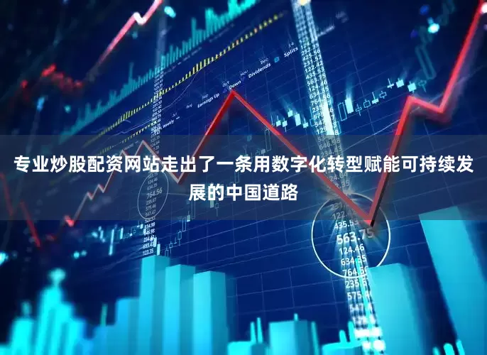 专业炒股配资网站走出了一条用数字化转型赋能可持续发展的中国道路