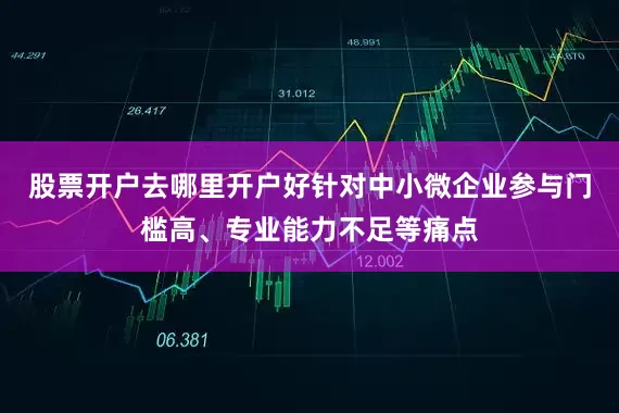 股票开户去哪里开户好针对中小微企业参与门槛高、专业能力不足等痛点