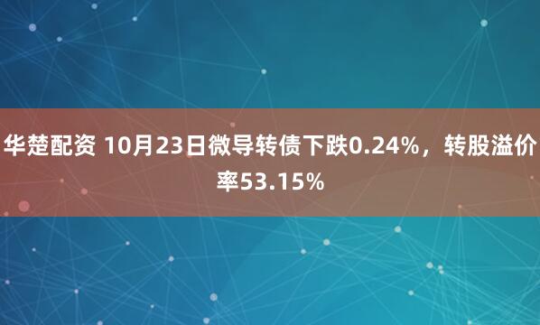华楚配资 10月23日微导转债下跌0.24%，转股溢价率53.15%